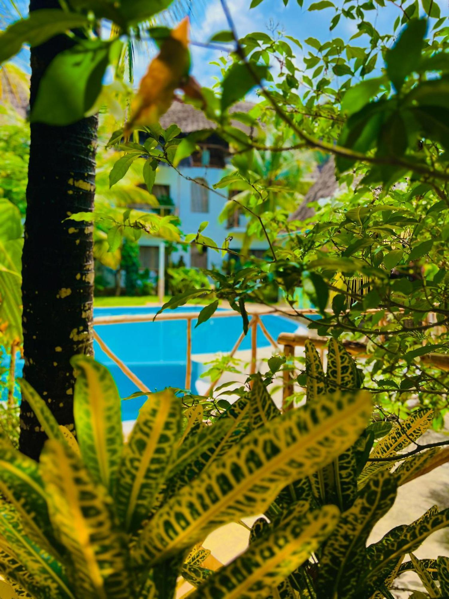 Tropical Nungwi Hotel Exterior photo