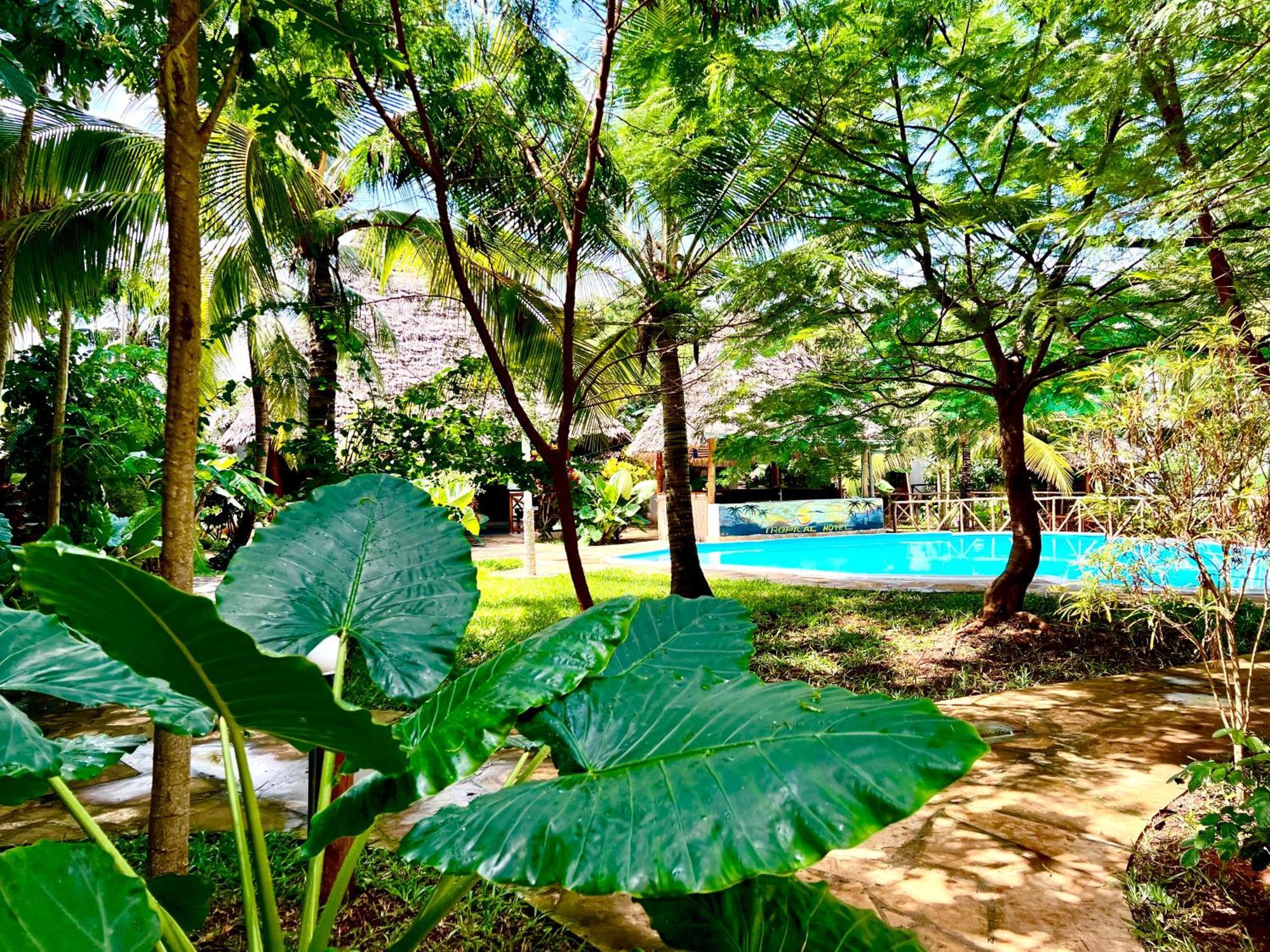 Tropical Nungwi Hotel Exterior photo